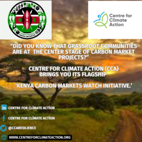 Kenya Carbon Markets Initiative