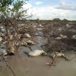 Floods in Northern Kenya