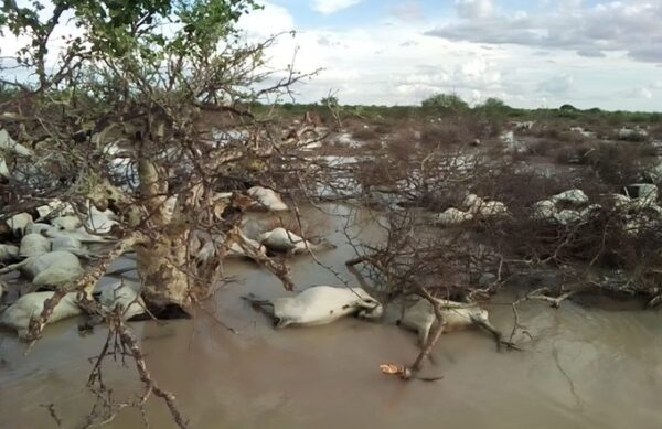 Floods in Northern Kenya