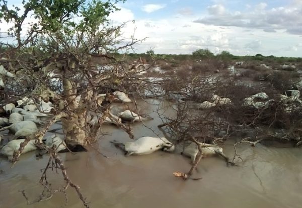 Floods in Northern Kenya