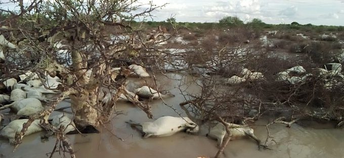 Floods in Northern Kenya