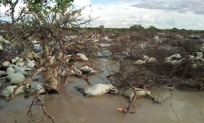 Floods in Northern Kenya