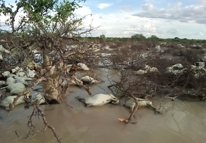 Floods in Northern Kenya