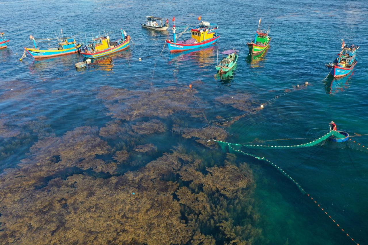 Sustainable Fisheries & Blue Economy.