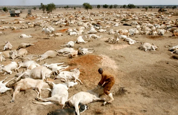 Livelihoods lost to Climate Change in Africa