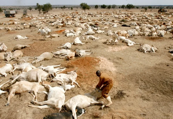 Livelihoods lost to Climate Change in Africa