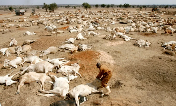 Livelihoods lost to Climate Change in Africa