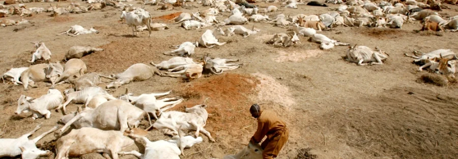 Livelihoods lost to Climate Change in Africa