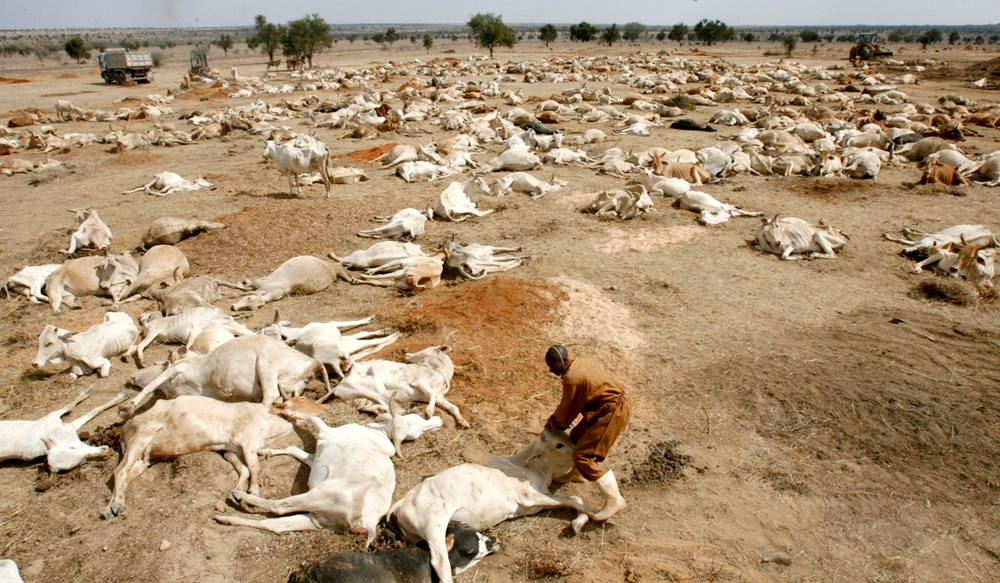 Livelihoods lost to Climate Change in Africa